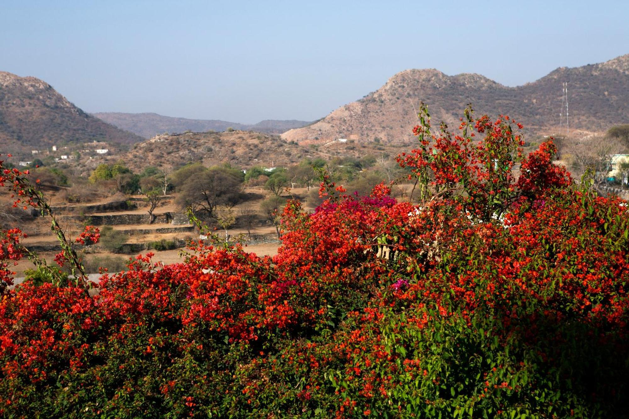 Raas Devigarh Hotel Delwara Bagian luar foto