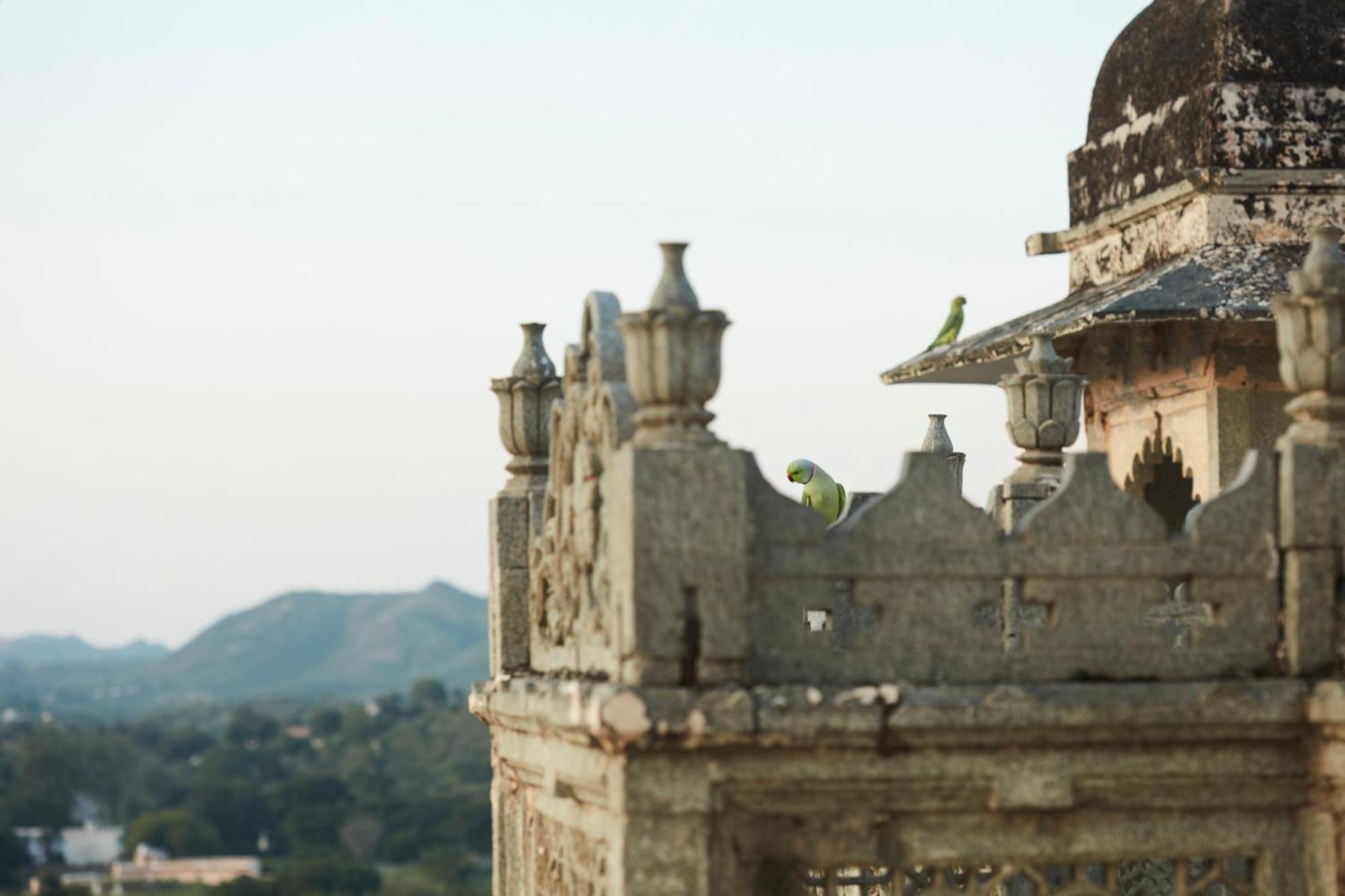 Raas Devigarh Hotel Delwara Bagian luar foto